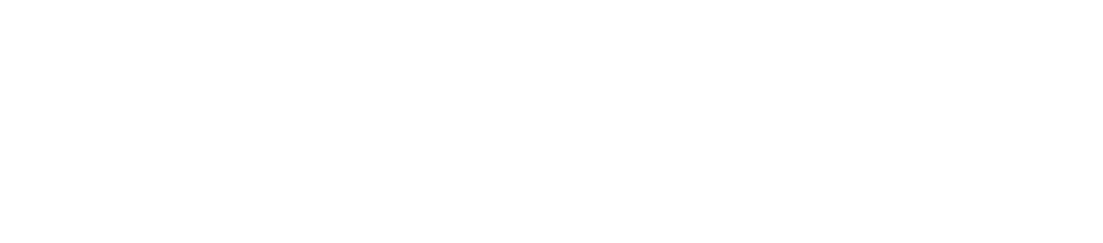 Pavani Consultoria
